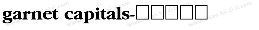 garnet capitals字体转换
